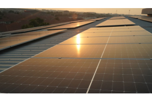 Beneficios de la instalación fotovoltaica en la agroindustria 