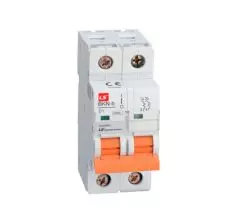 Interruptor Automatico Bipolar 2x 10a Curva D Ruptura 10ka