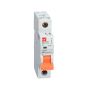 Interruptor Automático 1 X 25a Curva D Ruptura 10ka LS ELECTRIC