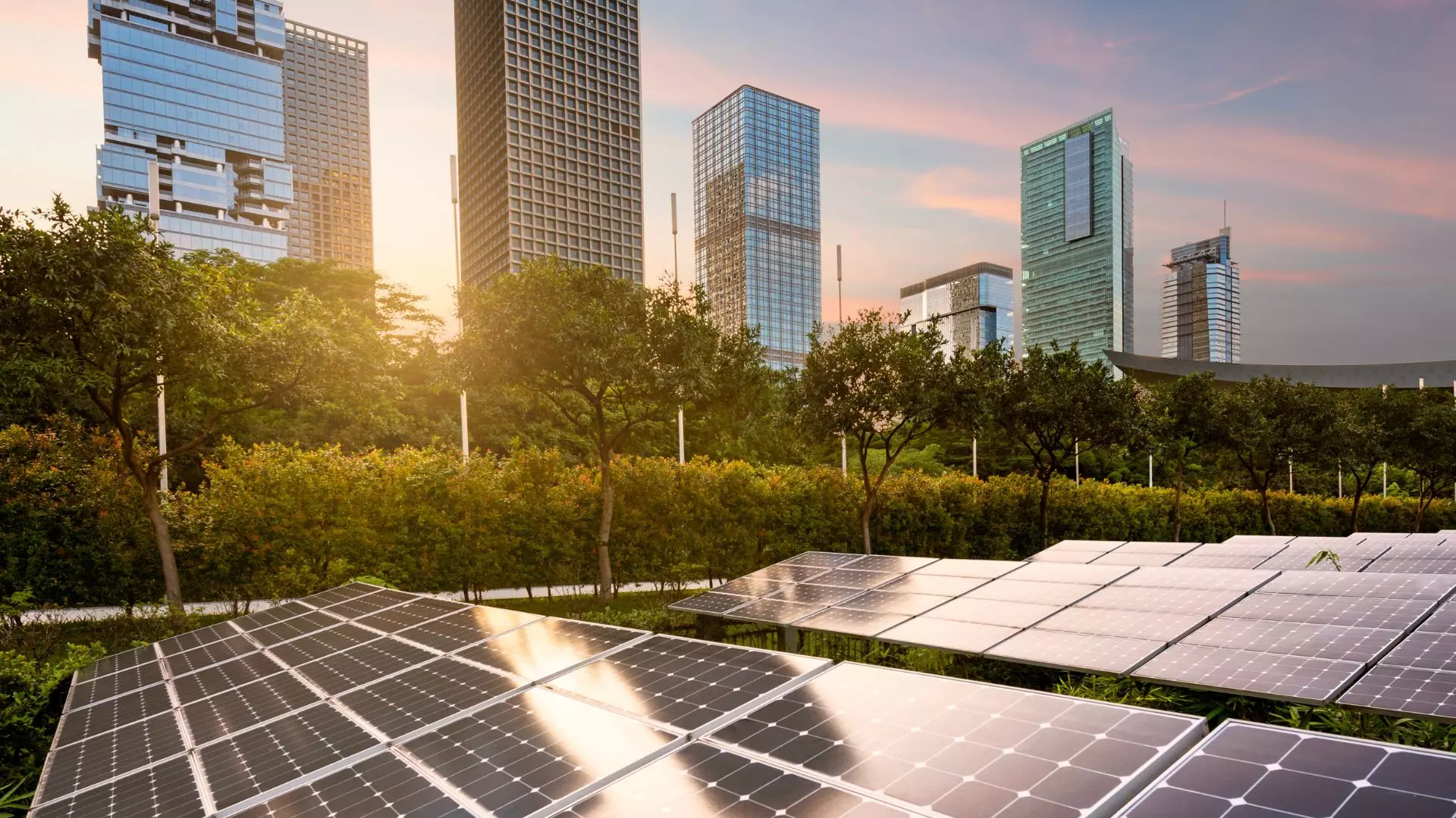 3 factores cruciales a considerar antes de invertir en paneles solares