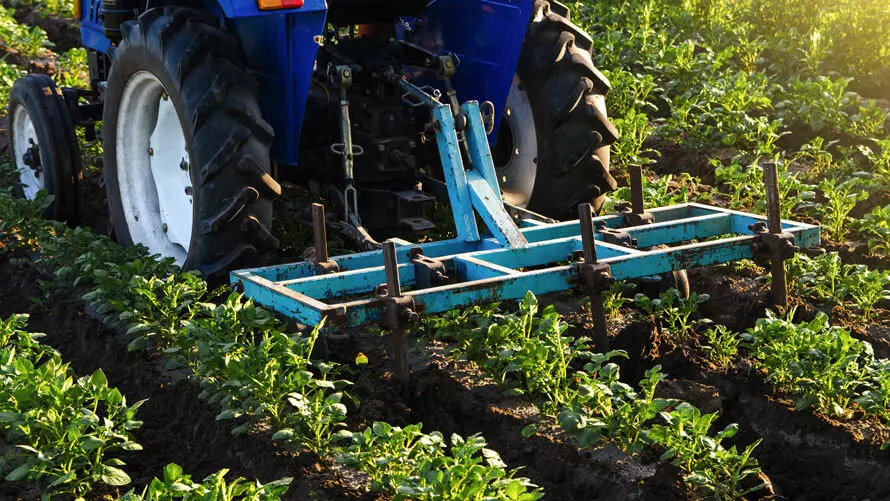 ¡Hasta un 50% podría llegar el ahorro energético en la agroindustria! 