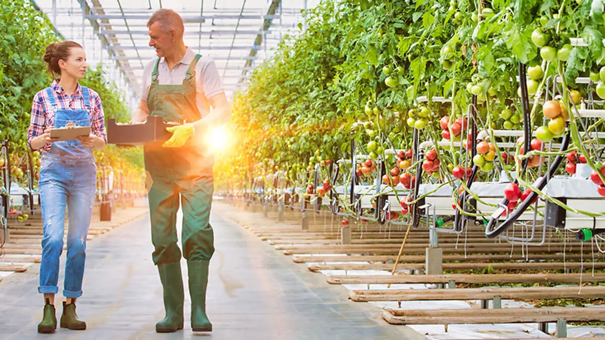 Automatización en la Agroindustria: Energía y Eficiencia con Vitel Energía Automatización en la Agroindustria: Energía y Eficiencia con Vitel Energía